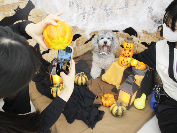 ２年生とモデル犬の写真撮影会♪～PART②～